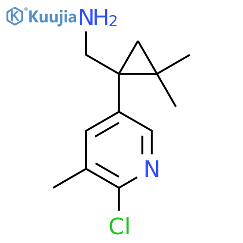 1-(6-chloro-5-methylpyridin-3-yl)-2,2-dimethylcyclopropylmethanamine structure