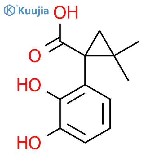1-(2,3-dihydroxyphenyl)-2,2-dimethylcyclopropane-1-carboxylic acid structure