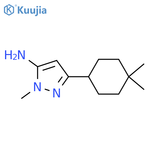 3-(4,4-dimethylcyclohexyl)-1-methyl-1H-pyrazol-5-amine structure