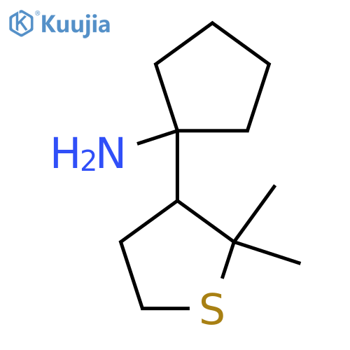 1-(2,2-dimethylthiolan-3-yl)cyclopentan-1-amine structure