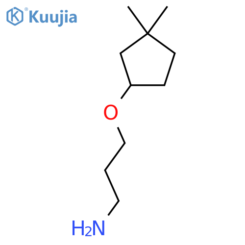 3-[(3,3-Dimethylcyclopentyl)oxy]propan-1-amine structure