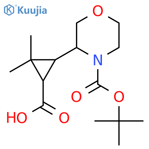 3-{4-(tert-butoxy)carbonylmorpholin-3-yl}-2,2-dimethylcyclopropane-1-carboxylic acid structure