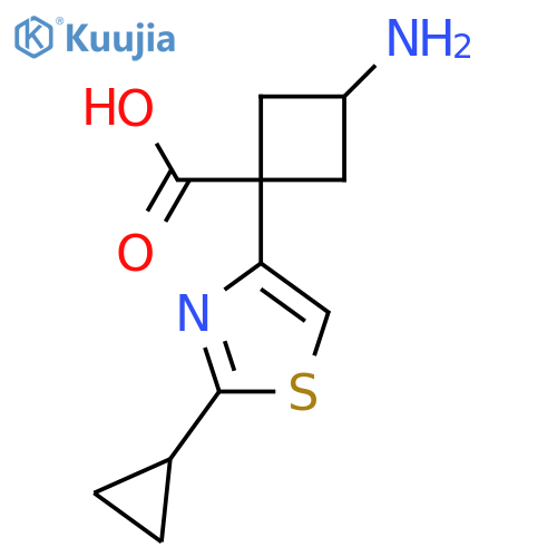 3-amino-1-(2-cyclopropyl-1,3-thiazol-4-yl)cyclobutane-1-carboxylic acid structure