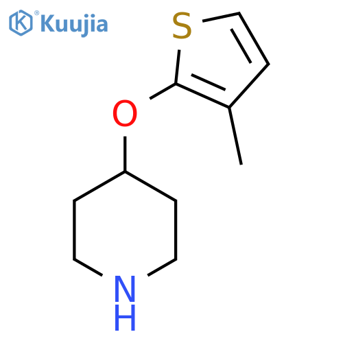 4-(3-methylthiophen-2-yl)oxypiperidine structure