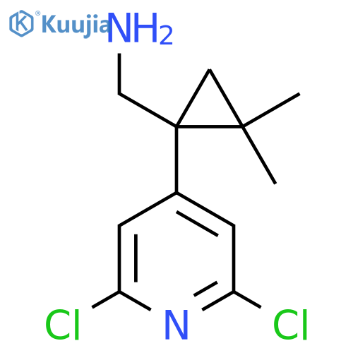 1-(2,6-dichloropyridin-4-yl)-2,2-dimethylcyclopropylmethanamine structure