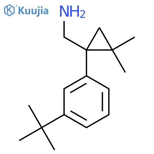 1-(3-tert-butylphenyl)-2,2-dimethylcyclopropylmethanamine structure