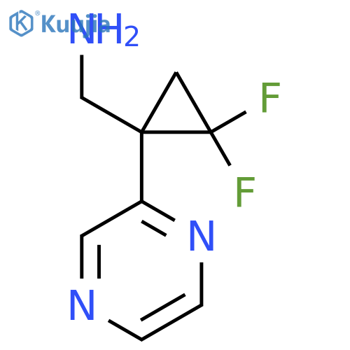 2,2-difluoro-1-(pyrazin-2-yl)cyclopropylmethanamine structure