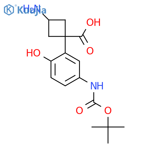 3-amino-1-(5-{(tert-butoxy)carbonylamino}-2-hydroxyphenyl)cyclobutane-1-carboxylic acid structure