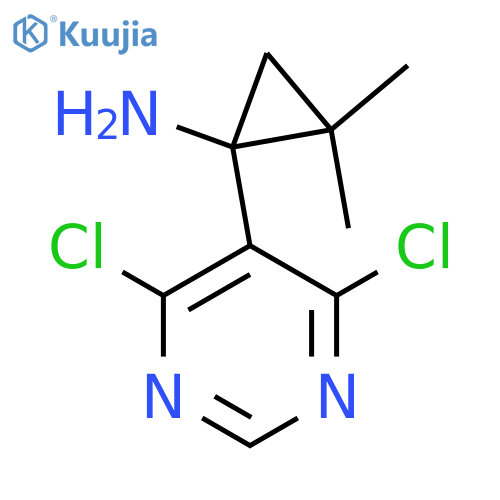 1-(4,6-dichloropyrimidin-5-yl)-2,2-dimethylcyclopropan-1-amine structure