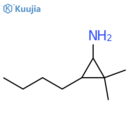 3-butyl-2,2-dimethylcyclopropan-1-amine structure
