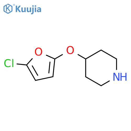 4-(5-chlorofuran-2-yl)oxypiperidine structure