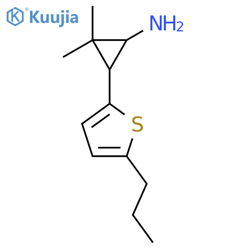 2,2-dimethyl-3-(5-propylthiophen-2-yl)cyclopropan-1-amine structure