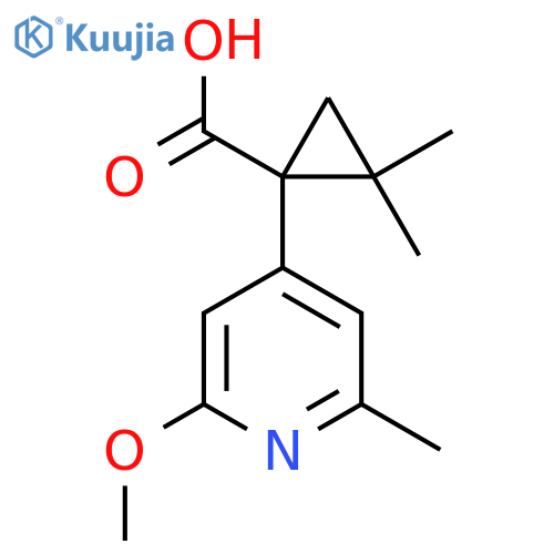 1-(2-methoxy-6-methylpyridin-4-yl)-2,2-dimethylcyclopropane-1-carboxylic acid structure