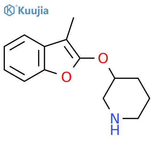 3-(3-methyl-1-benzofuran-2-yl)oxypiperidine structure