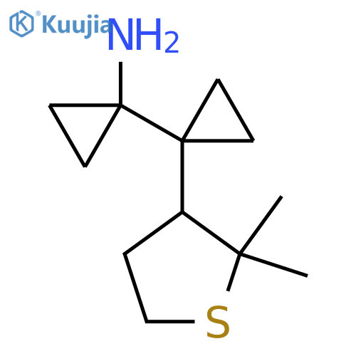 1-1-(2,2-dimethylthiolan-3-yl)cyclopropylcyclopropan-1-amine structure