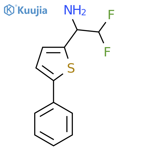 2,2-difluoro-1-(5-phenylthiophen-2-yl)ethan-1-amine structure