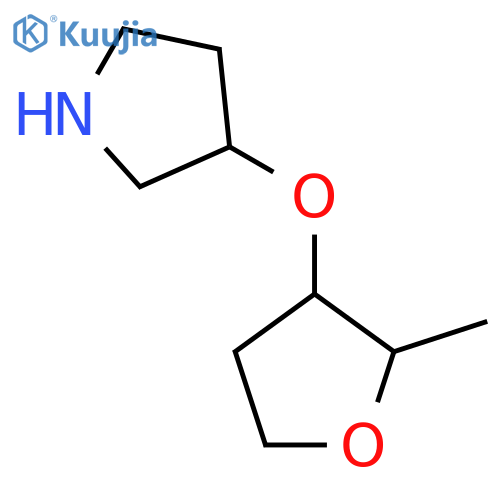 3-(2-methyloxolan-3-yl)oxypyrrolidine structure