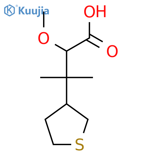 2-methoxy-3-methyl-3-(thiolan-3-yl)butanoic acid structure