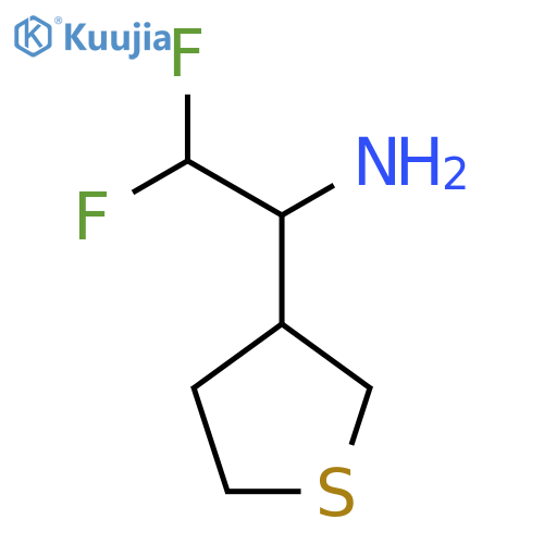 2,2-difluoro-1-(thiolan-3-yl)ethan-1-amine structure