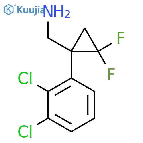 1-(2,3-dichlorophenyl)-2,2-difluorocyclopropylmethanamine structure