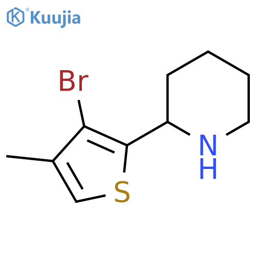 2-(3-bromo-4-methylthiophen-2-yl)piperidine structure