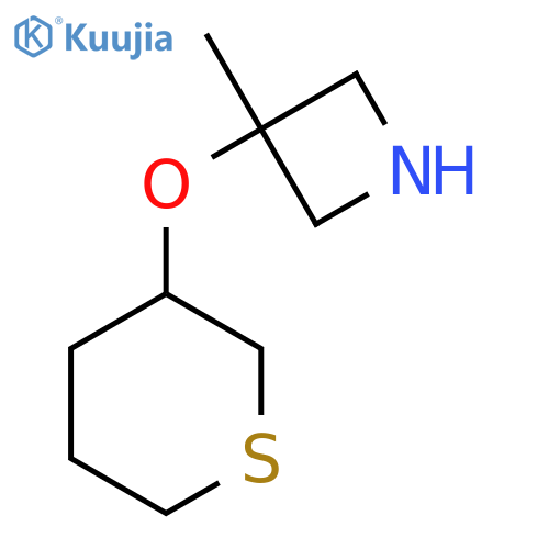 3-methyl-3-(thian-3-yloxy)azetidine structure