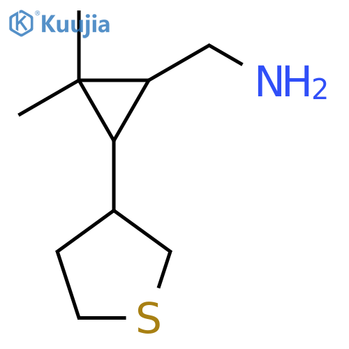2,2-dimethyl-3-(thiolan-3-yl)cyclopropylmethanamine structure