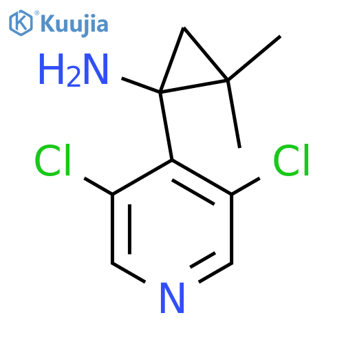 1-(3,5-dichloropyridin-4-yl)-2,2-dimethylcyclopropan-1-amine structure
