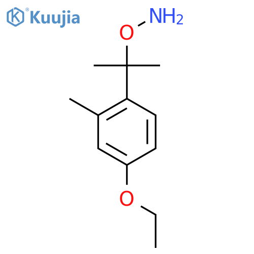 O-2-(4-ethoxy-2-methylphenyl)propan-2-ylhydroxylamine structure