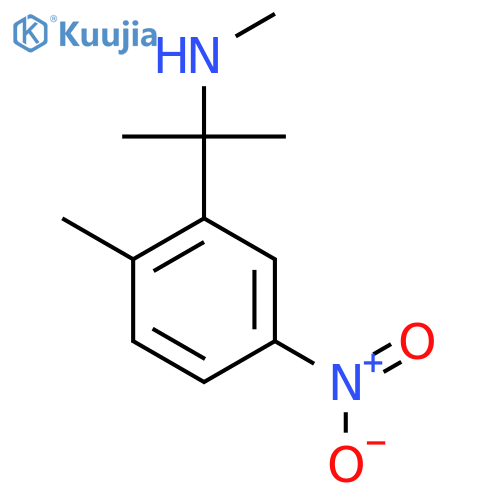 methyl2-(2-methyl-5-nitrophenyl)propan-2-ylamine structure