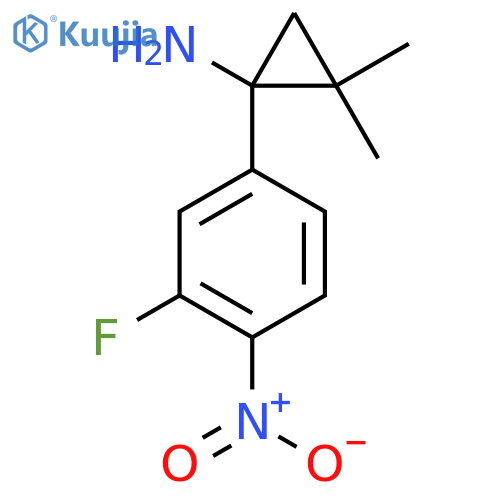 1-(3-fluoro-4-nitrophenyl)-2,2-dimethylcyclopropan-1-amine structure