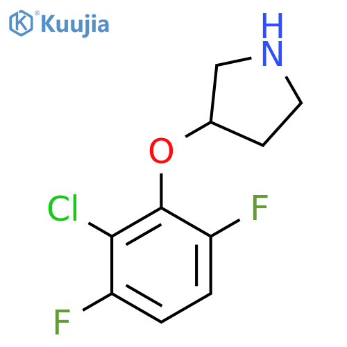 3-(2-chloro-3,6-difluorophenoxy)pyrrolidine structure