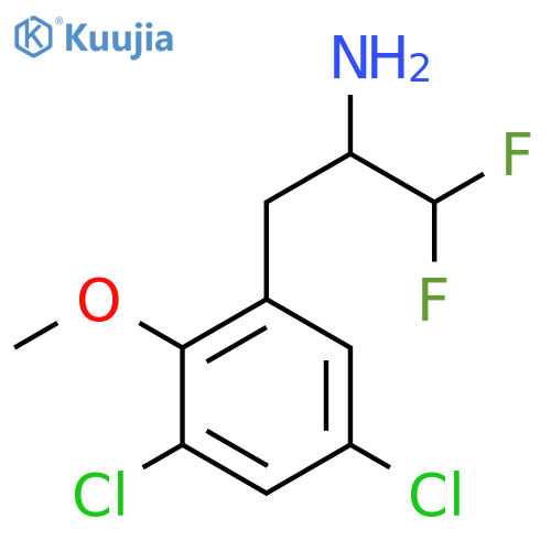 3-(3,5-dichloro-2-methoxyphenyl)-1,1-difluoropropan-2-amine structure