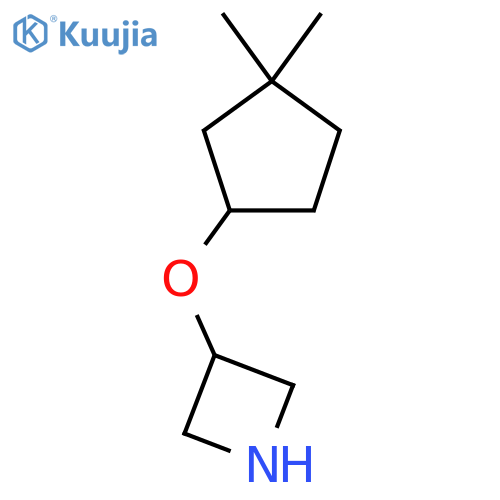 3-(3,3-dimethylcyclopentyl)oxyazetidine structure