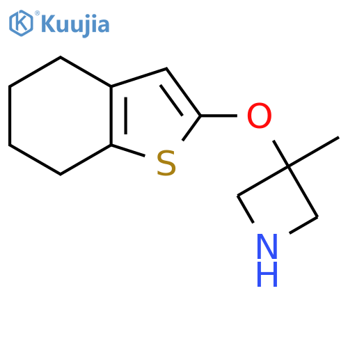 3-methyl-3-(4,5,6,7-tetrahydro-1-benzothiophen-2-yloxy)azetidine structure