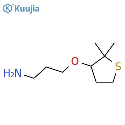 3-(2,2-dimethylthiolan-3-yl)oxypropan-1-amine structure