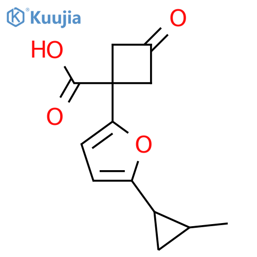1-5-(2-methylcyclopropyl)furan-2-yl-3-oxocyclobutane-1-carboxylic acid structure