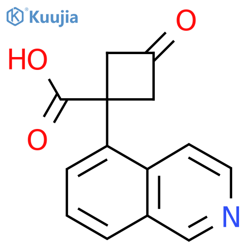 1-(isoquinolin-5-yl)-3-oxocyclobutane-1-carboxylic acid structure
