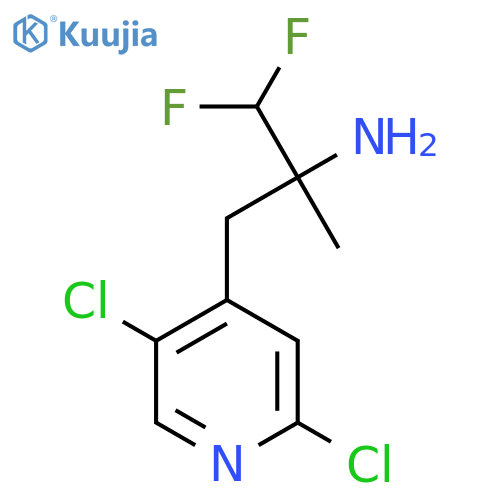 3-(2,5-dichloropyridin-4-yl)-1,1-difluoro-2-methylpropan-2-amine structure