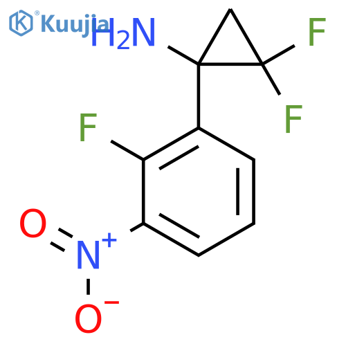 2,2-difluoro-1-(2-fluoro-3-nitrophenyl)cyclopropan-1-amine structure