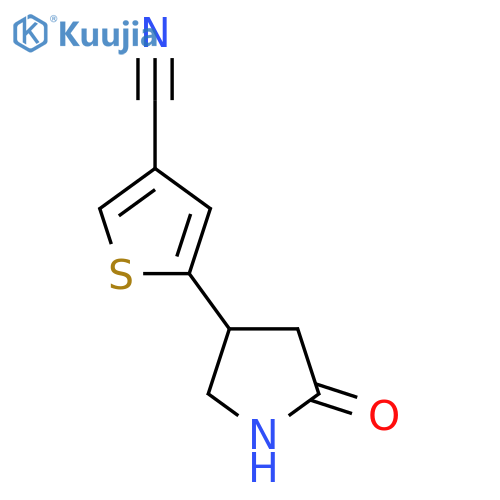 5-(5-oxopyrrolidin-3-yl)thiophene-3-carbonitrile structure