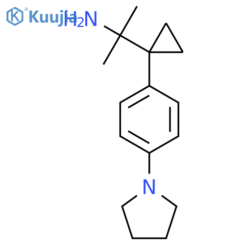 2-{1-4-(pyrrolidin-1-yl)phenylcyclopropyl}propan-2-amine structure