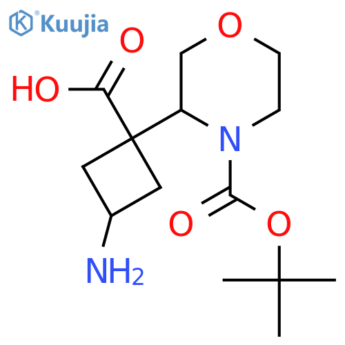 3-amino-1-{4-(tert-butoxy)carbonylmorpholin-3-yl}cyclobutane-1-carboxylic acid structure