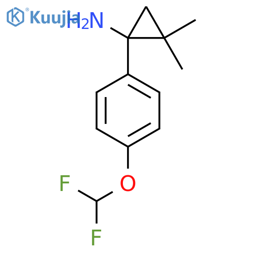 1-4-(difluoromethoxy)phenyl-2,2-dimethylcyclopropan-1-amine structure