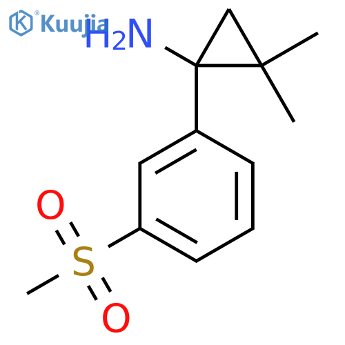 1-(3-methanesulfonylphenyl)-2,2-dimethylcyclopropan-1-amine structure