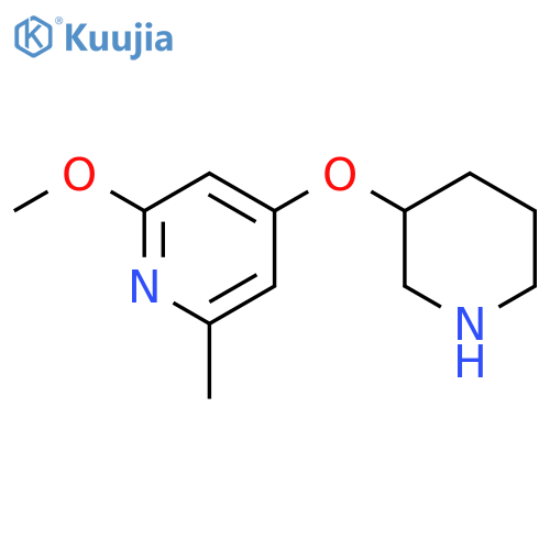 2-methoxy-6-methyl-4-(piperidin-3-yloxy)pyridine structure