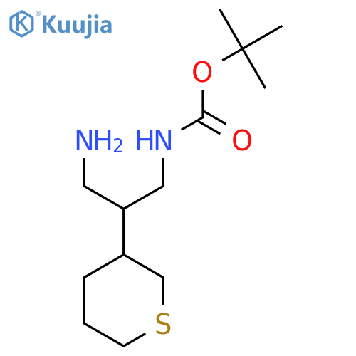 tert-butyl N-3-amino-2-(thian-3-yl)propylcarbamate structure