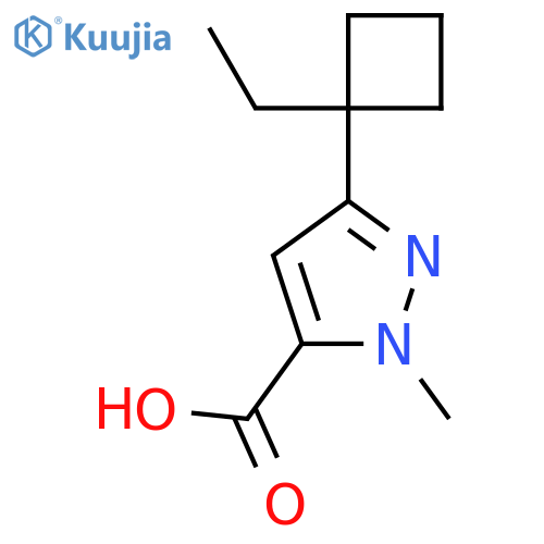 3-(1-ethylcyclobutyl)-1-methyl-1H-pyrazole-5-carboxylic acid structure