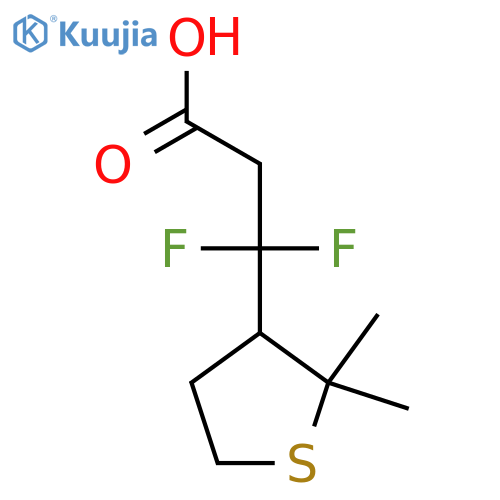 3-(2,2-dimethylthiolan-3-yl)-3,3-difluoropropanoic acid structure