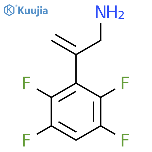 2-(2,3,5,6-tetrafluorophenyl)prop-2-en-1-amine structure